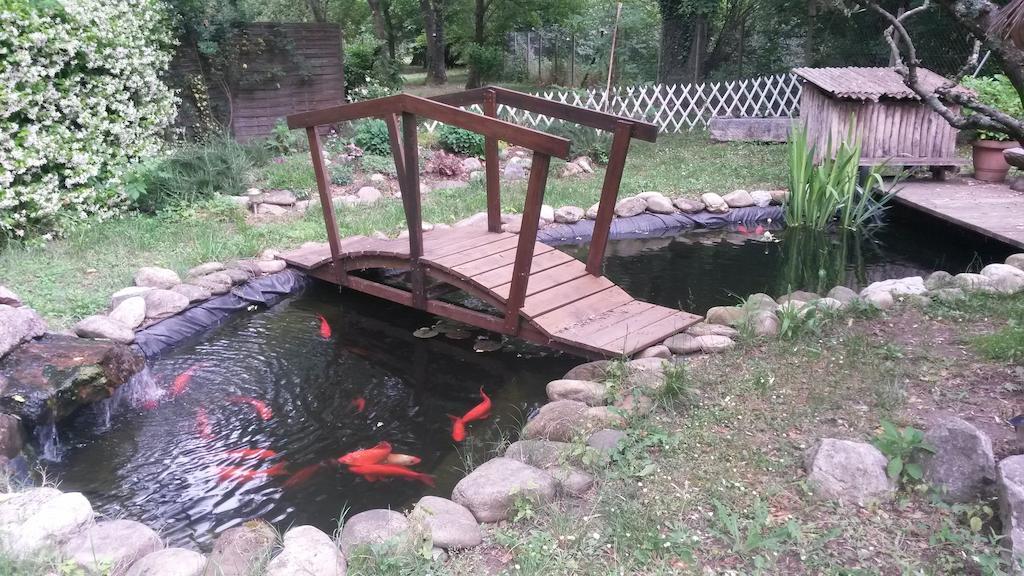 camping le Fief d'Anduze Esterno foto