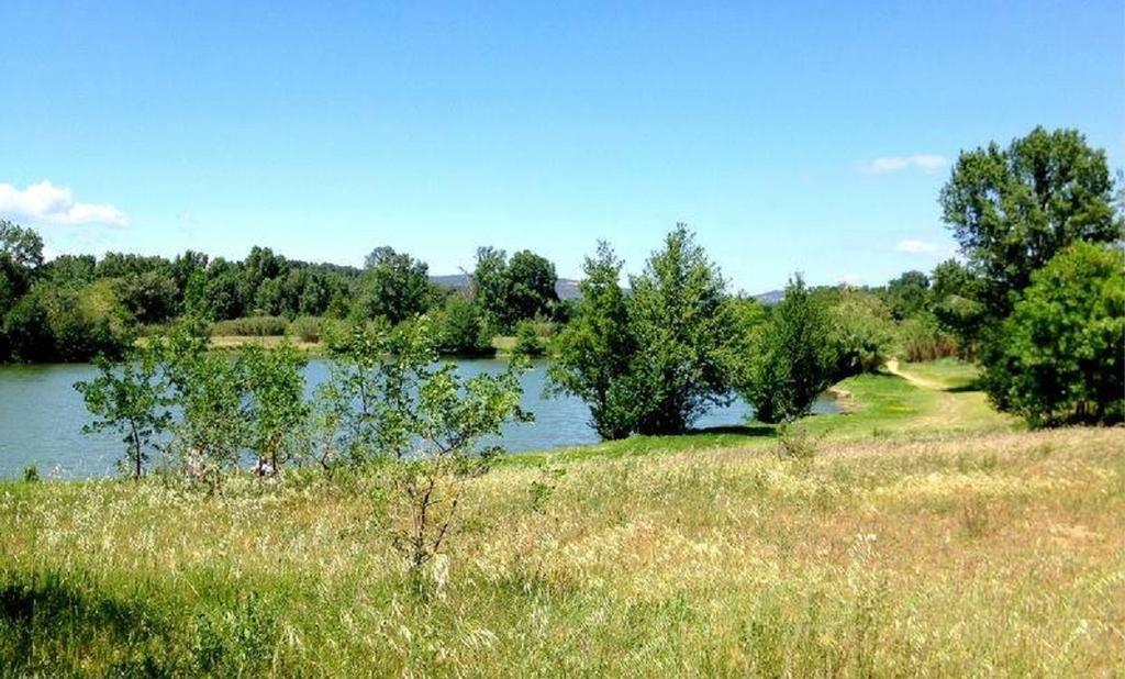 camping le Fief d'Anduze Esterno foto