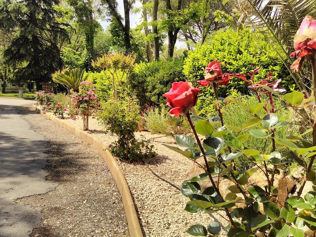 camping le Fief d'Anduze Esterno foto